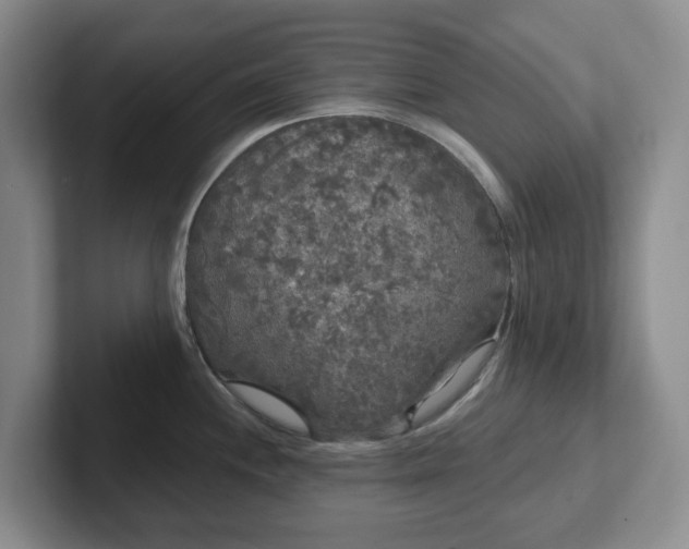 X0000102531244200808151548