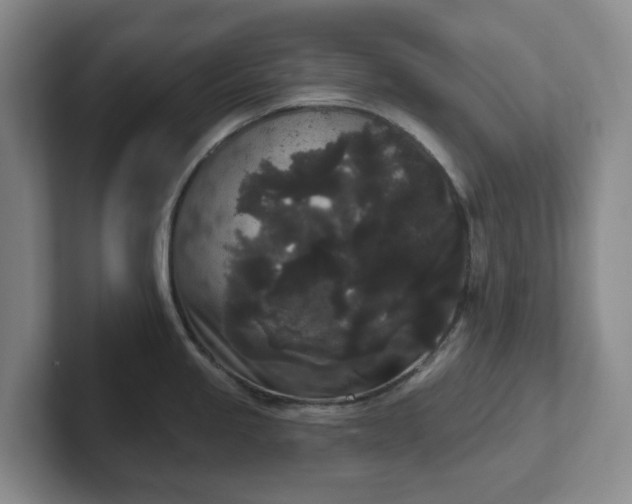 X0000102531245200808151548