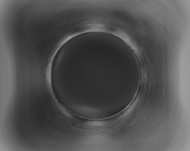 X0000102531246200808151548