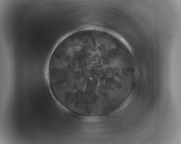 X0000102531247200808151548