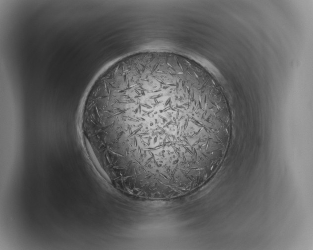 X0000102531248200808151548