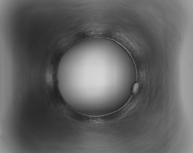 X0000102531250200808151547