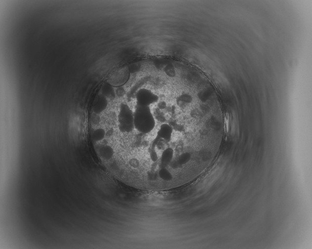 X0000102531251200808151547