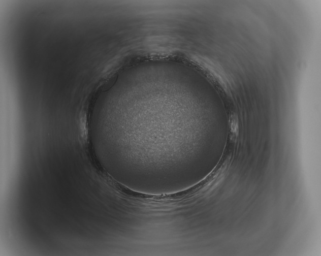 X0000102531252200808151547