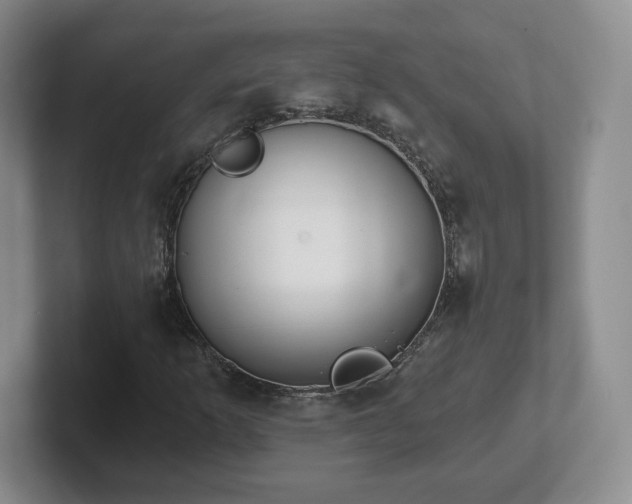 X0000102531253200808151547