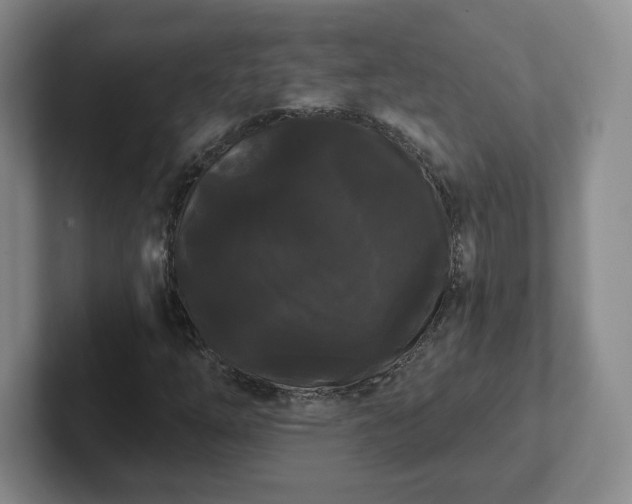 X0000102531254200808151547