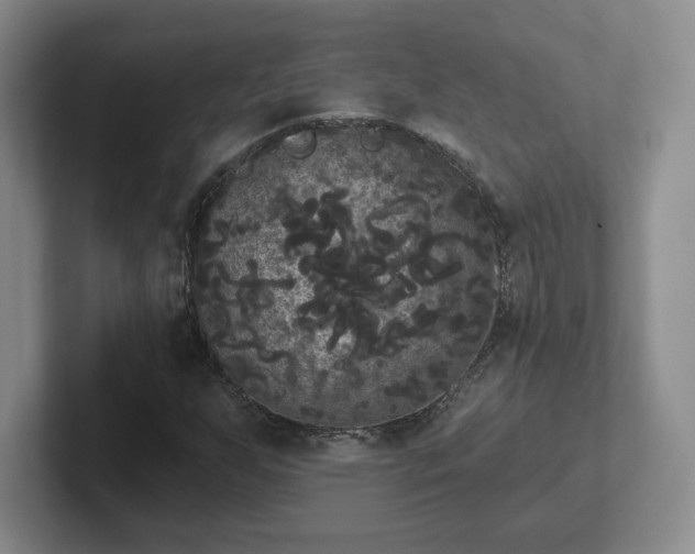 X0000102531255200808151547