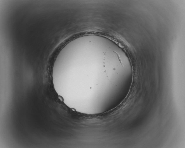 X0000102531256200808151547