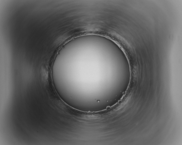 X0000102531257200808151547