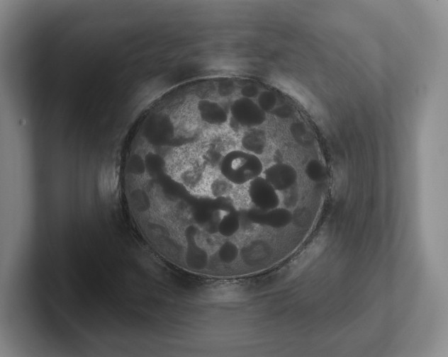 X0000102531259200808151547