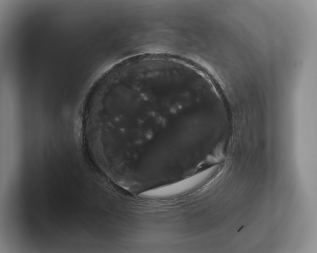 X0000102531263200808151547