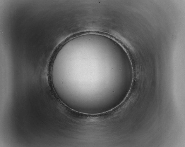 X0000102531264200808151547