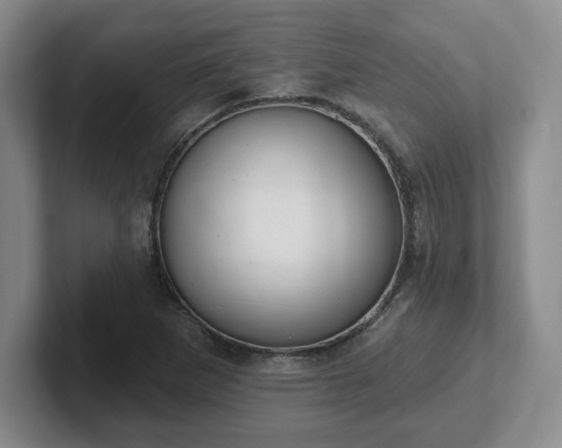 X0000102531265200808151547