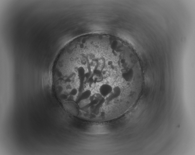 X0000102531267200808151547