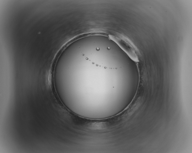 X0000102531268200808151547