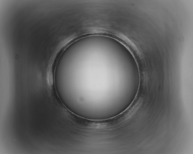 X0000102531269200808151547