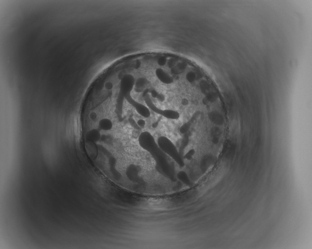 X0000102531271200808151547