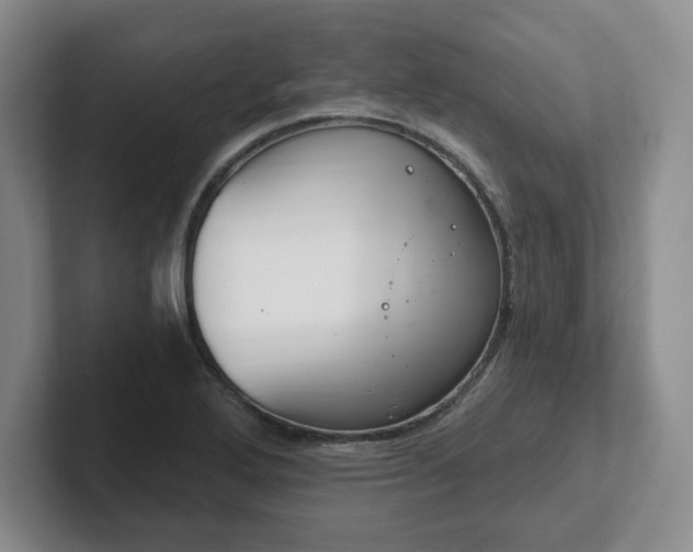 X0000102531272200808151547