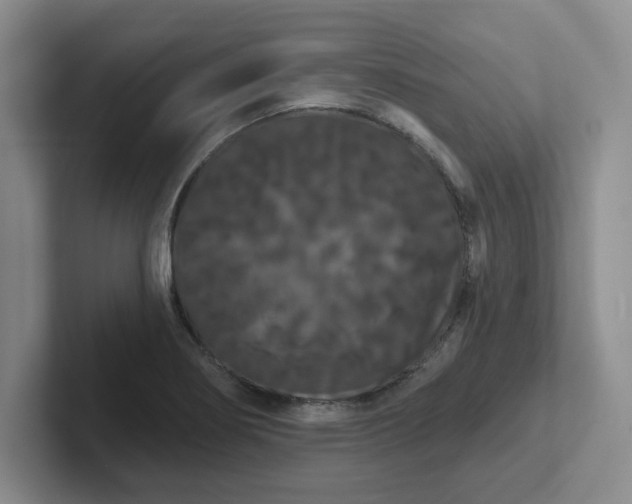 X0000102531274200808151547