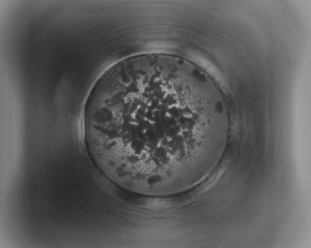 X0000102531275200808151547