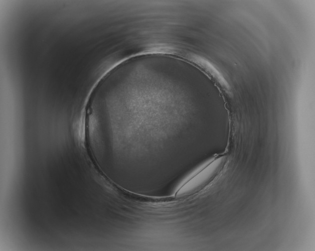 X0000102531276200808151547