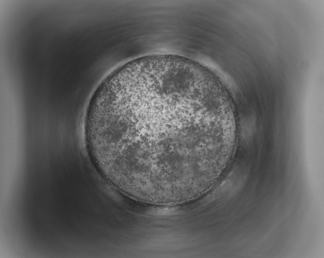 X0000102531278200808151547
