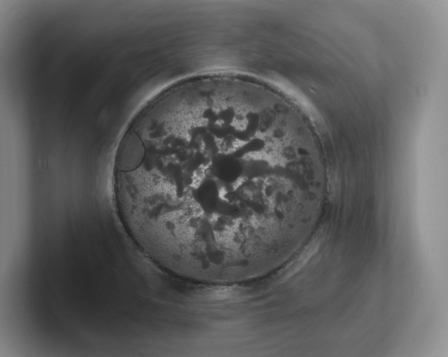 X0000102531279200808151547