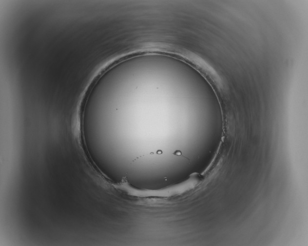 X0000102531280200808151547