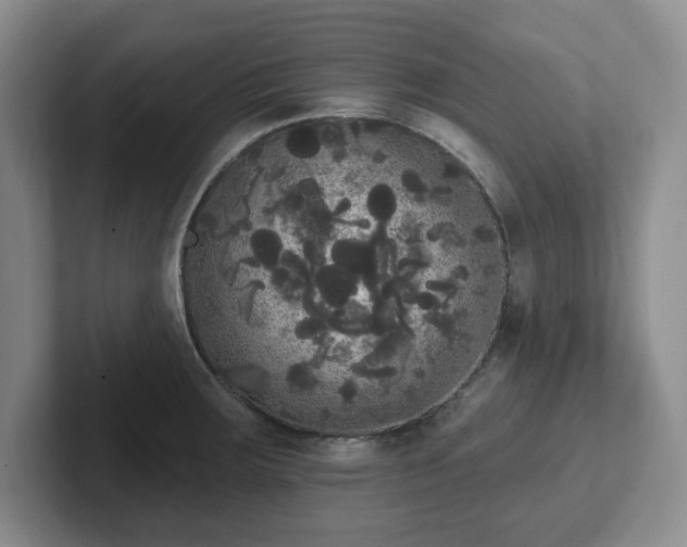 X0000102531283200808151547