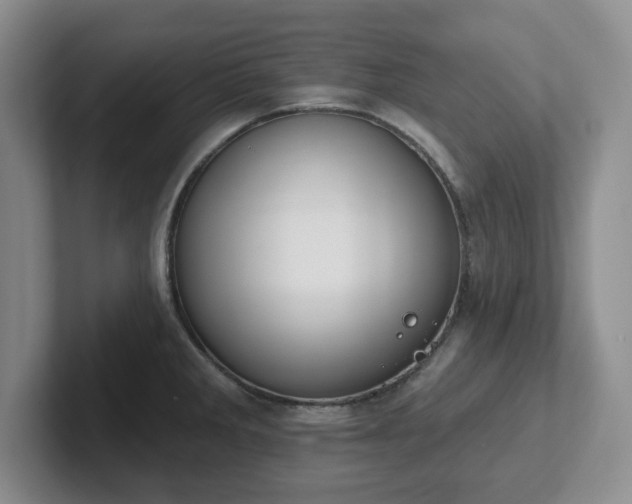 X0000102531285200808151547