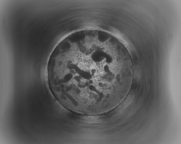 X0000102531287200808151547