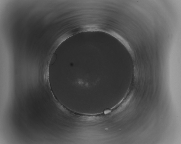 X0000102531289200808151547