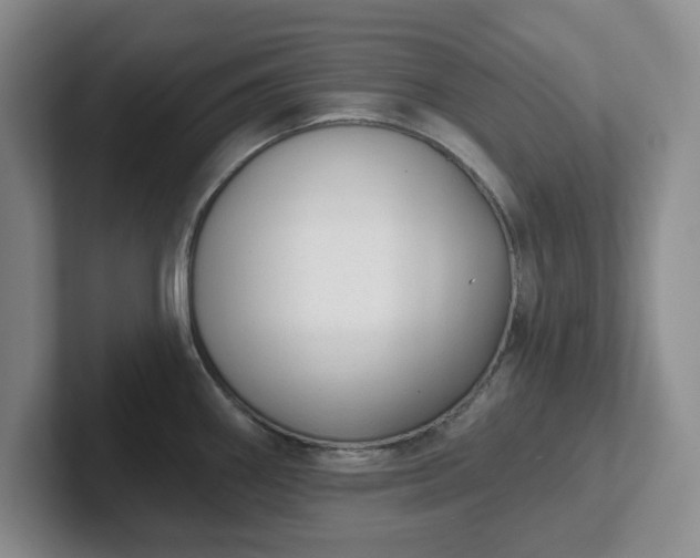 X0000102531290200808151547