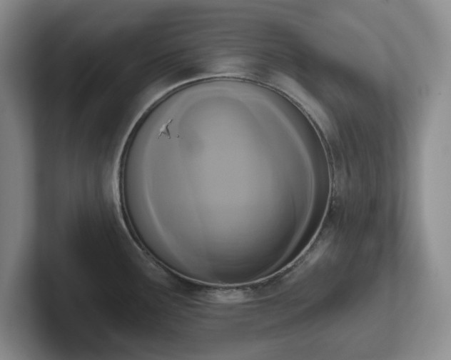 X0000102531291200808151547