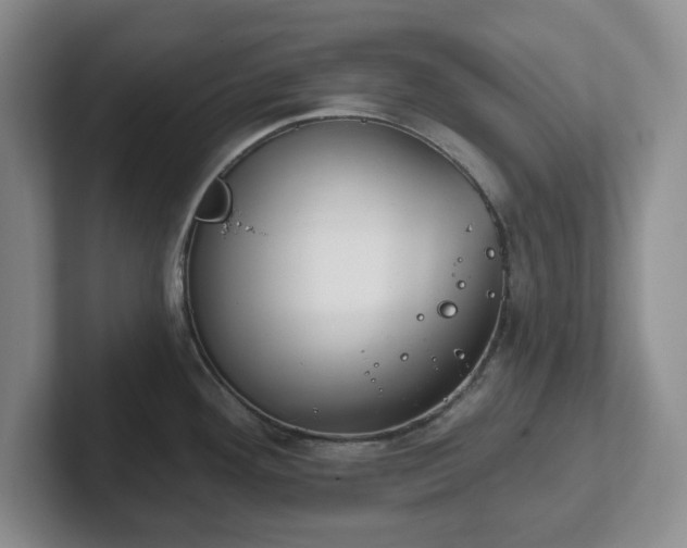 X0000102531292200808151547