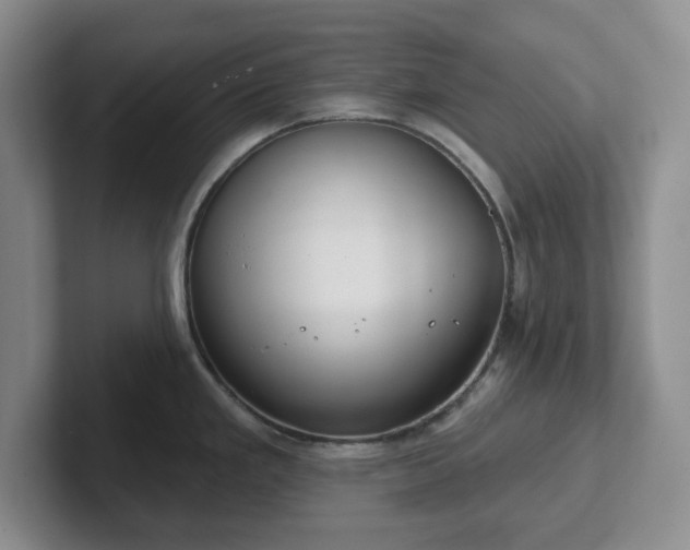 X0000102531293200808151547