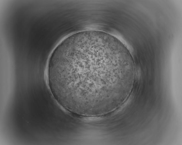 X0000102531294200808151547