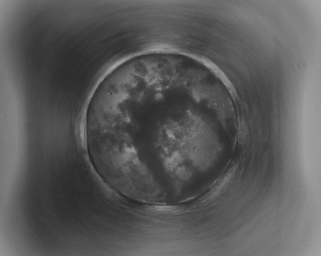 X0000102531295200808151547