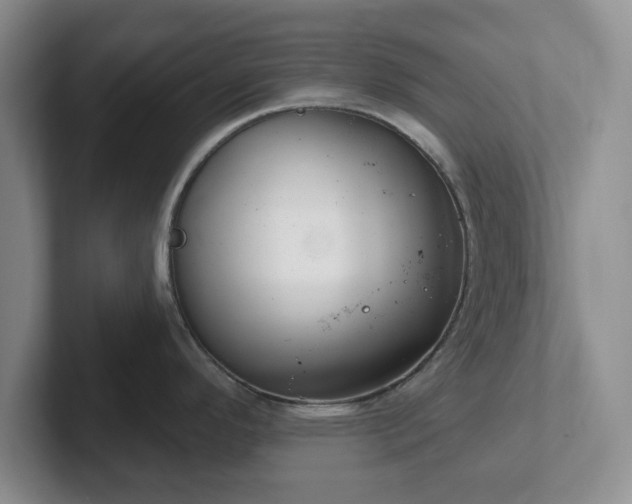 X0000102531296200808151547