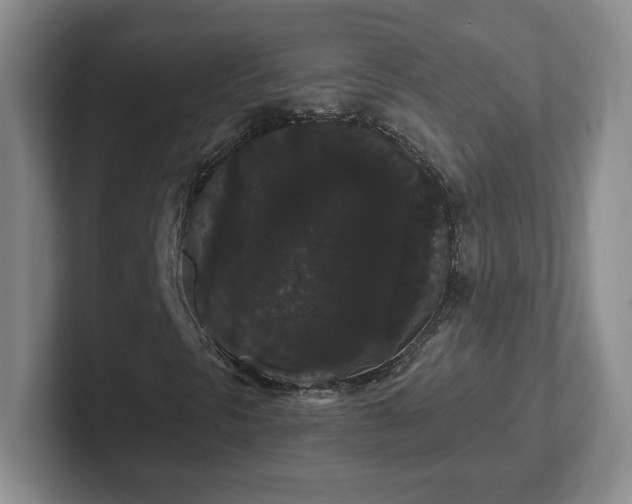 X0000102531297200808151546