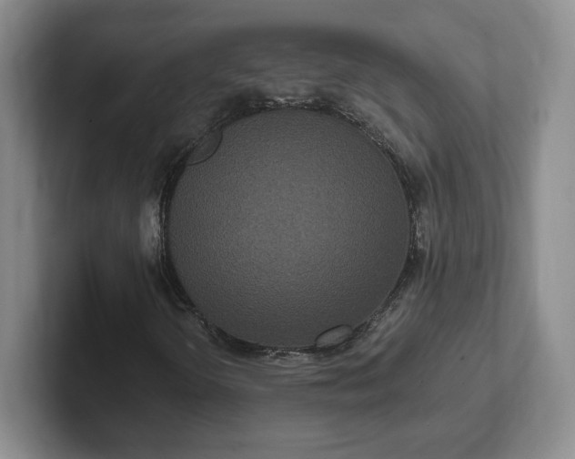 X0000102531298200808151546