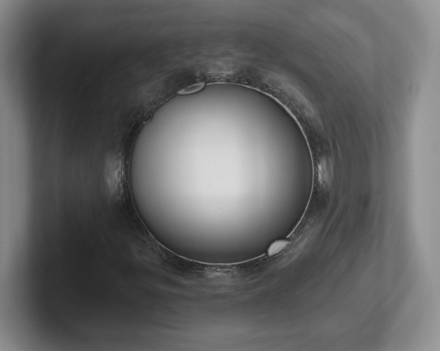 X0000102531299200808151546