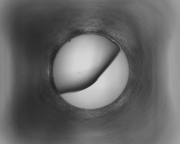 X0000102531300200808151546