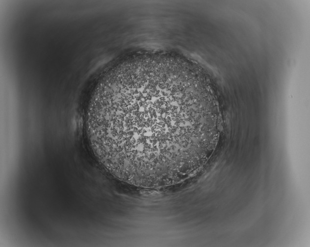 X0000102531302200808151546