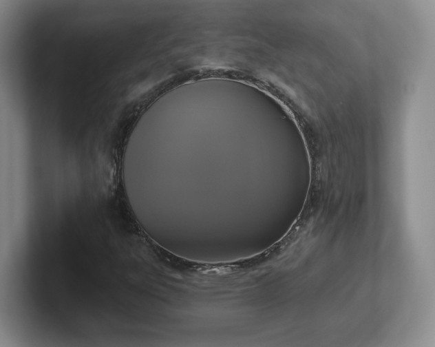 X0000102531303200808151546