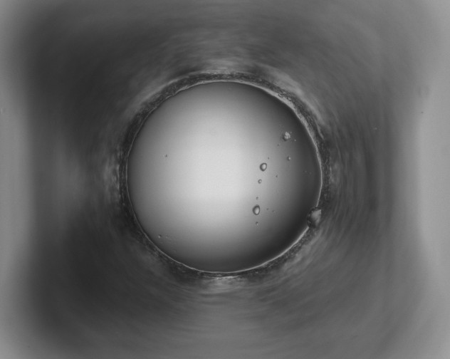 X0000102531304200808151546