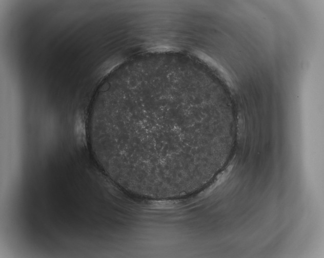 X0000102531305200808151546