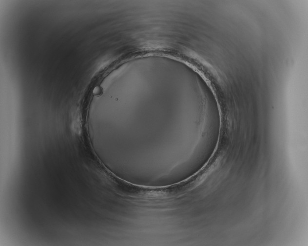 X0000102531306200808151546