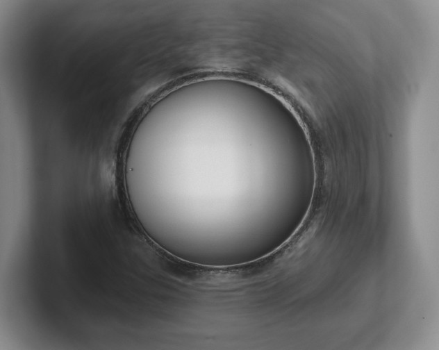 X0000102531307200808151546