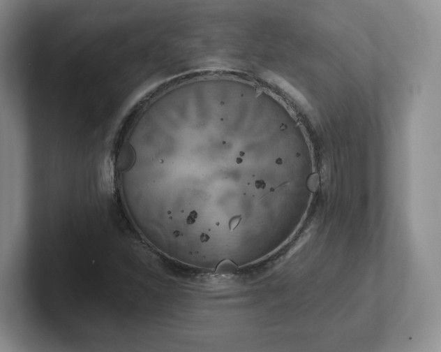 X0000102531310200808151546